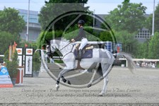 ref. photo 3611406