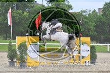 ref. photo 3611414