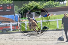 ref. photo 3611447