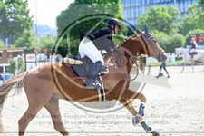 ref. photo 3611449