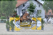 ref. photo 3611472