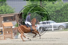 ref. photo 3611476