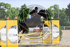 ref. photo 3611502