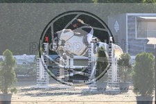 ref. photo 3611506