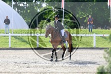 ref. photo 3611523