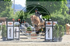 ref. photo 3611526