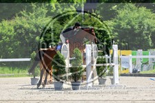 ref. photo 3611543