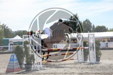 ref. photo 3611545