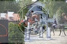 ref. photo 3611548
