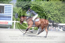 ref. photo 3611552