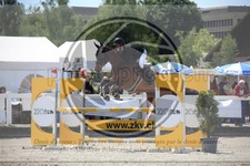 ref. photo 3611562