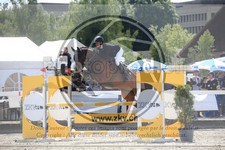 ref. photo 3611569