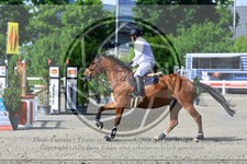 ref. photo 3611600