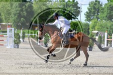 ref. photo 3611607