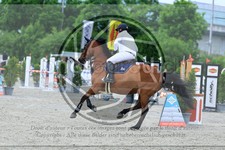 ref. photo 3611610
