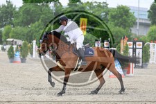 ref. photo 3611616
