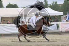 ref. photo 3611624