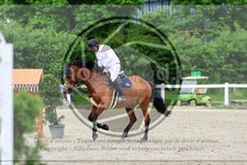 ref. photo 3611627