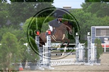 ref. photo 3611628