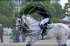 ref. photo 3611652