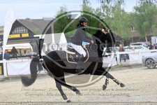 ref. photo 3611674