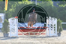 ref. photo 3611680