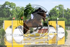 ref. photo 3611698