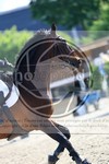 ref. photo 3611732