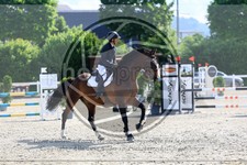 ref. photo 3611736