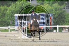 ref. photo 3611745