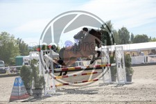 ref. photo 3611769