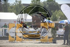 ref. photo 3611770