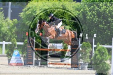 ref. photo 3611794