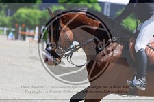 ref. photo 3611797