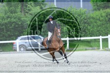 ref. photo 3611799