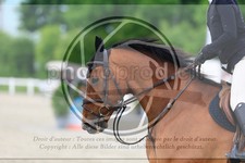 ref. photo 3611804