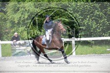 ref. photo 3611840