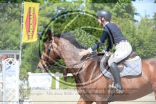 ref. photo 3611841