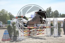 ref. photo 3611879