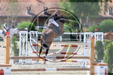 ref. photo 3611896