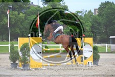 ref. photo 3611915