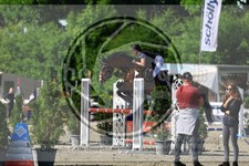 ref. photo 3612000