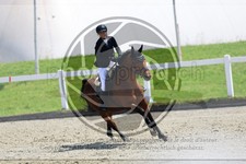 ref. photo 3612010
