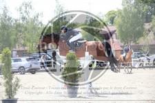 ref. photo 3612019