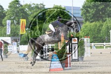 ref. photo 3612053