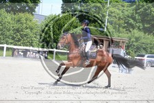ref. photo 3612061