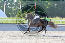 ref. photo 3612112