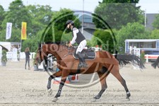 ref. photo 3612134