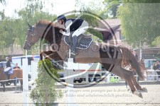 ref. photo 3612146