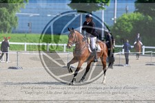 ref. photo 3612153